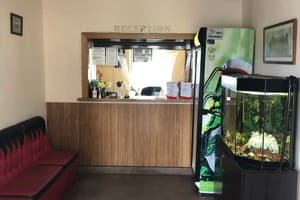 Опалковый Замок 9